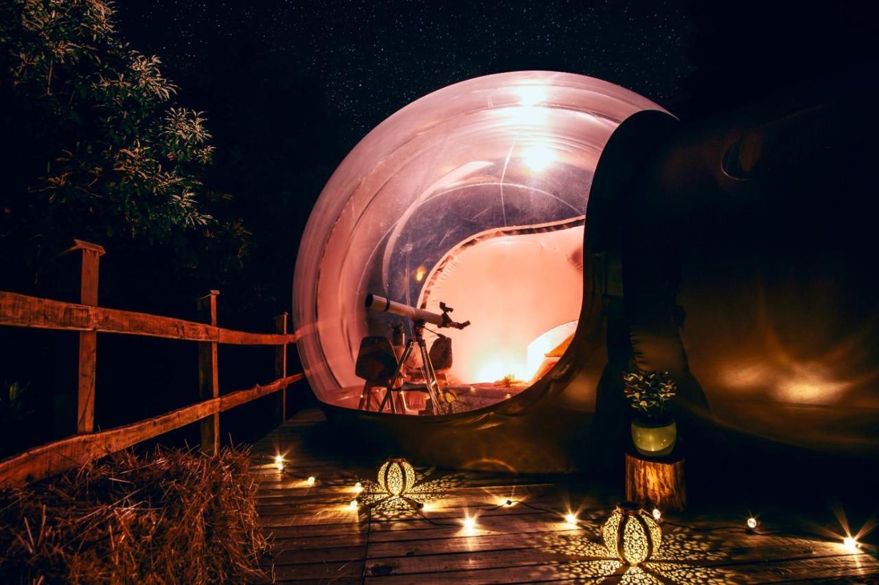 مبيت وإفطار Sant'Orsola Maso La Marianna Bubble Glamping In Trentino المظهر الخارجي الصورة